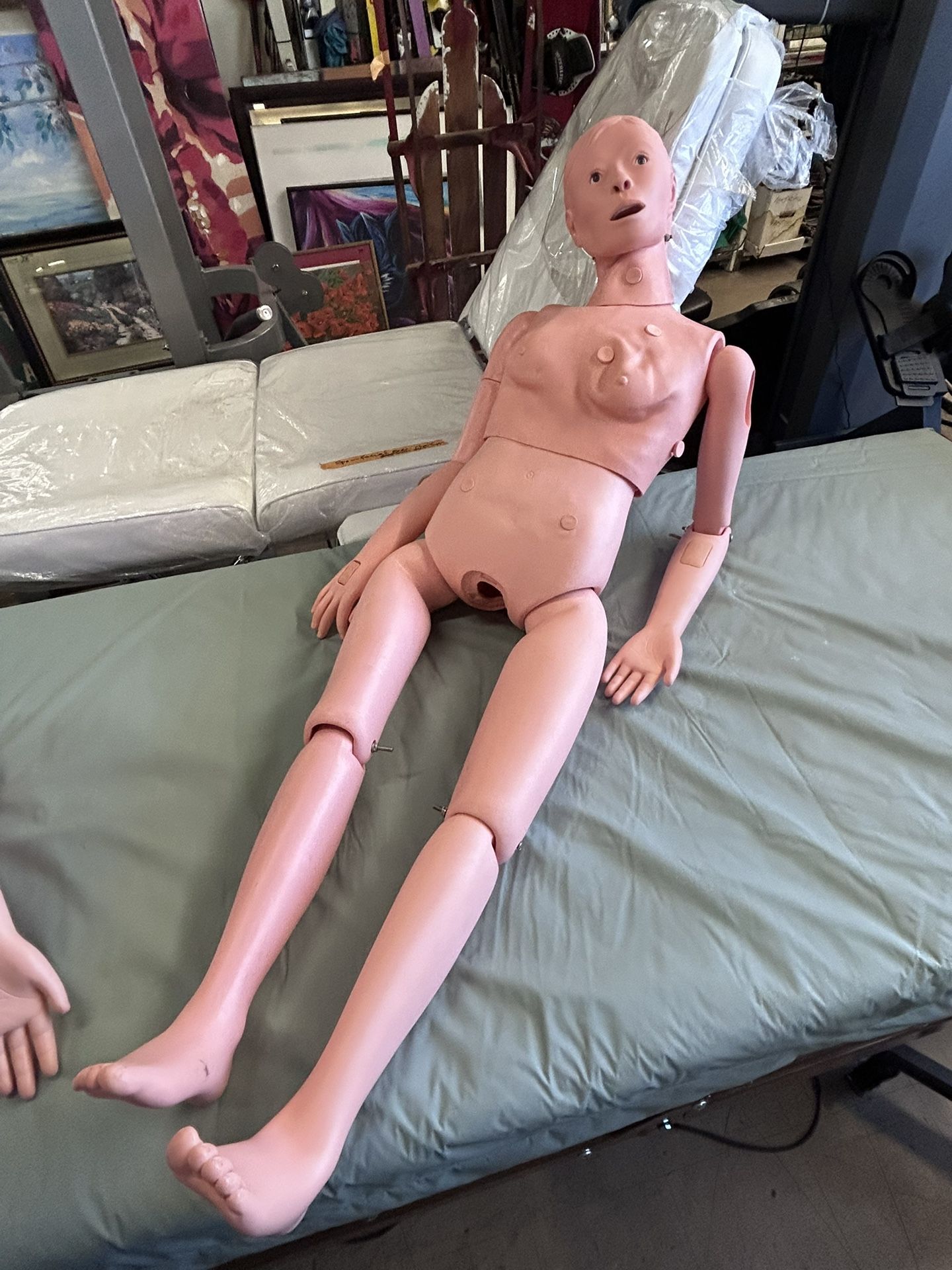 5 Ft Life-Size Female Nursing Manikin Model - VEVOR Multifunctional Clinical Training Simulator