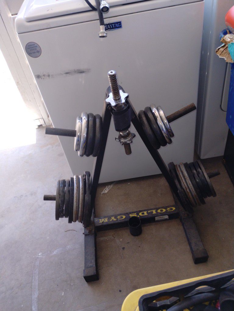 Gold Gym Weight Plate Tree