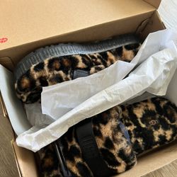 UGG Slippers 