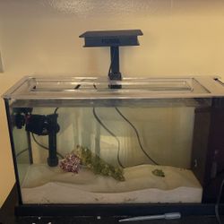 Fluval Evo 5 Gallon Aquarium With Upgrades 