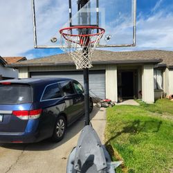 Free Basketball Hoop