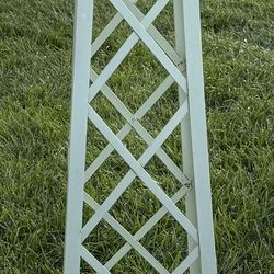 Mint Green Trellis 
