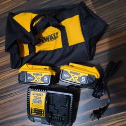 Dewalt 20v Xr (2)- 5AH Charger And Bag 