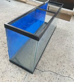 50 Gallon Aquarium Tank
