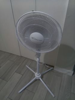 Fan