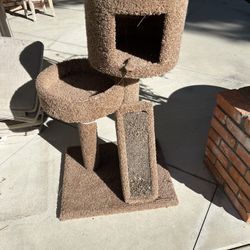 Cat Tree