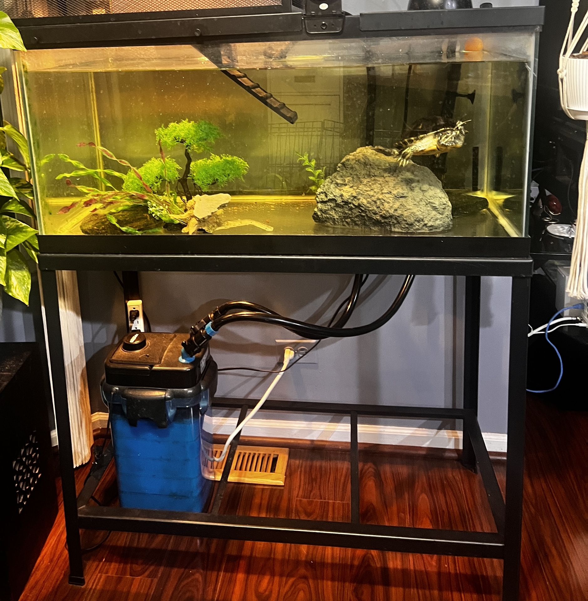 Tank Stand Only
