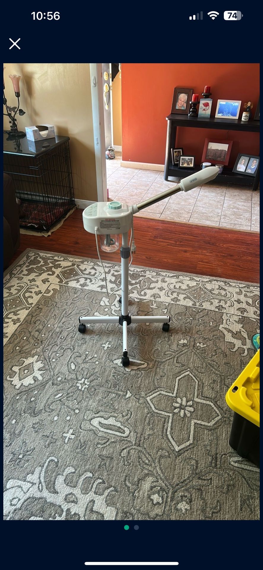 Facial Steamer 
