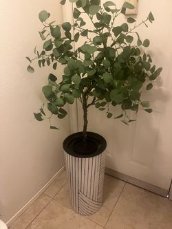 Faux Eucalyptus Tree in Striped Planter