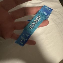 Camp Flog Gnaw Ticket 