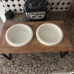  food and water dispensary for dogs 