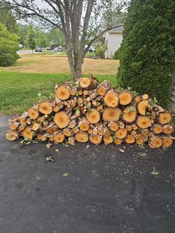 1/2 face court of wood