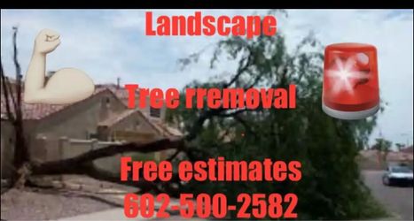 Tr33 rremoval