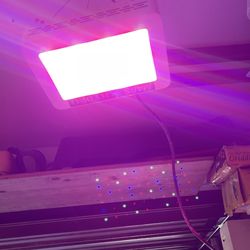 Mars Hydro phonic Lamp
