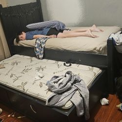 Free Twin Bed And Trundle W/ Mattresses
