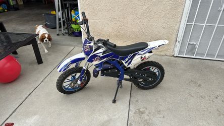 Mini Bike