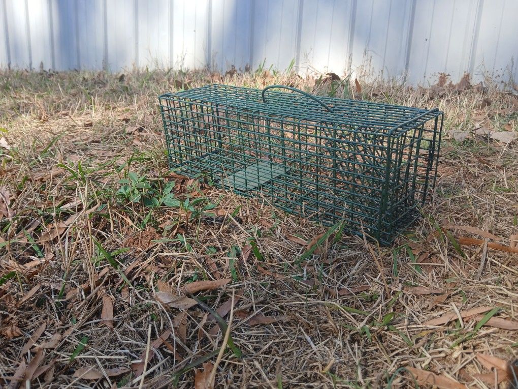 Small Animal Trap