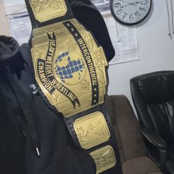 WWE/WWF adults title belt 