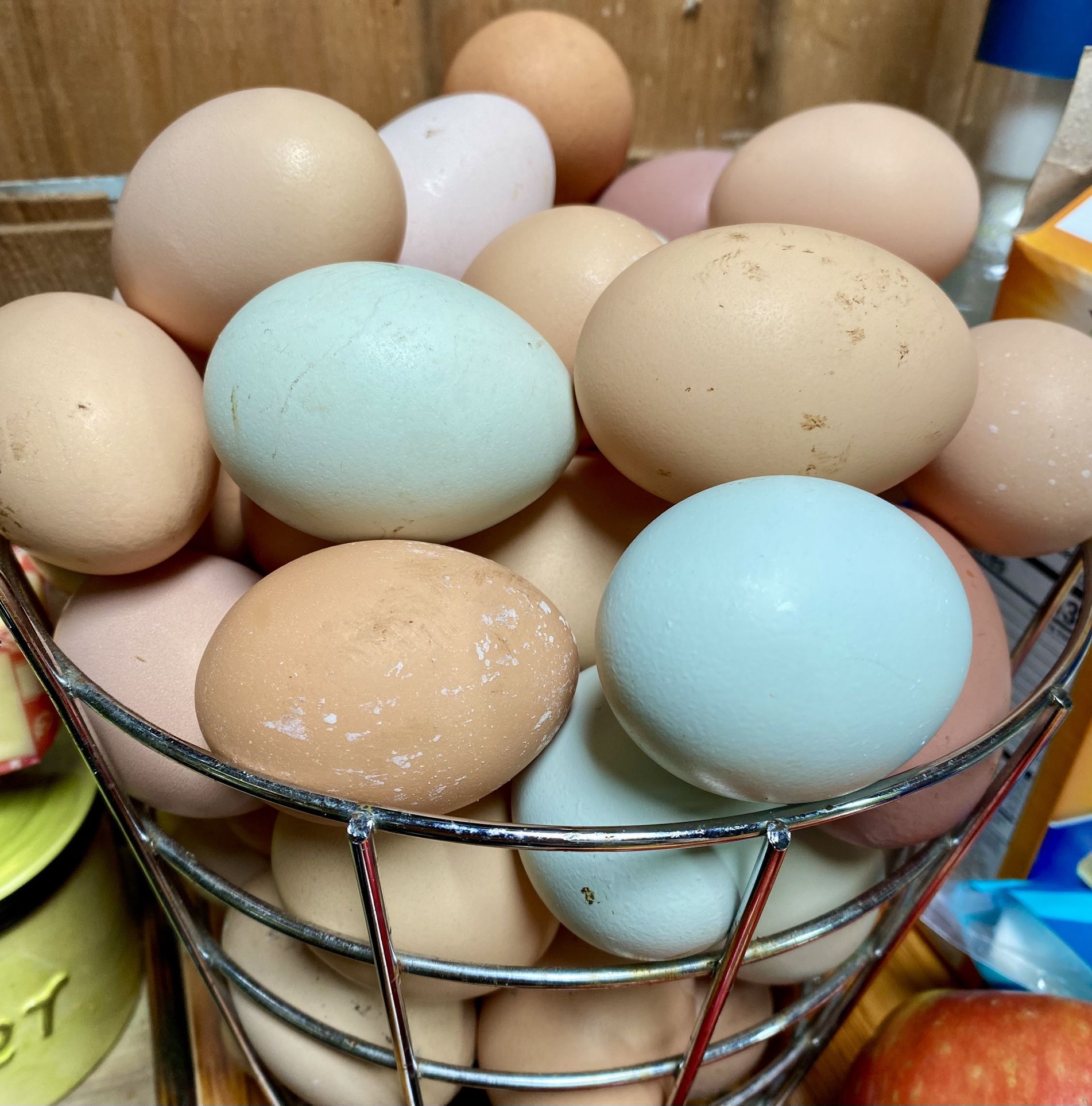 Chicken Eggs