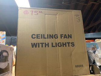 Ceiling Fan with Lights