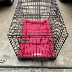 Top Paw® 36-Inch Folding Dog Crate with Kong bed