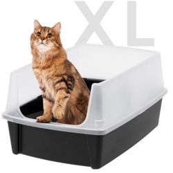 Litter Box 