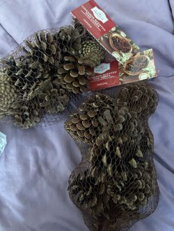 3 Bags Of Pinecones 