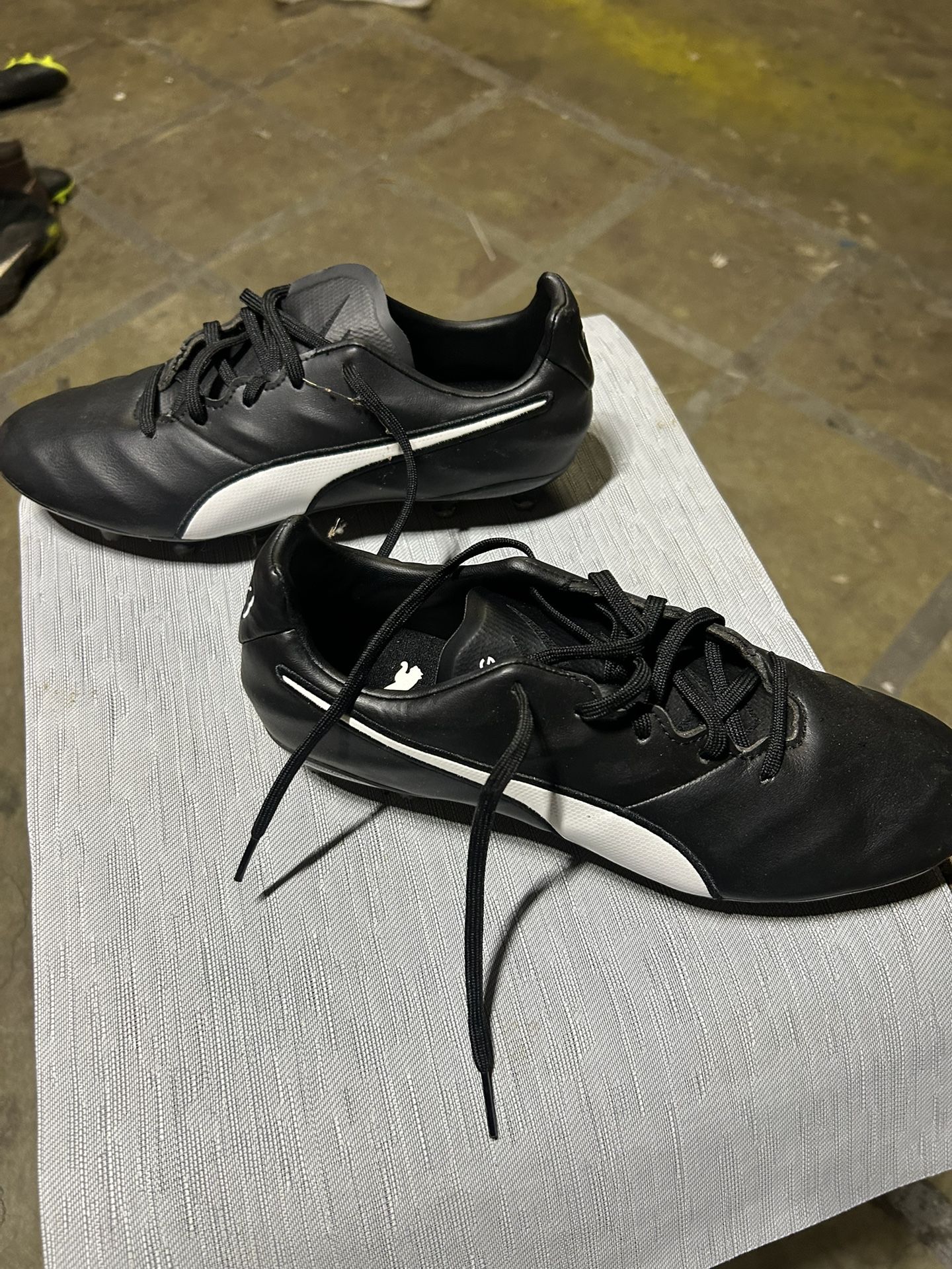 Puma King