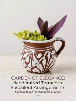 Handcrafted Terracotta Succulent Arrangements