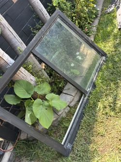 2 Ventanas Disponibles 55x35 1/2