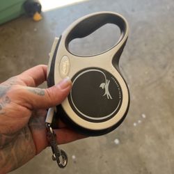 Small Dog Leash 