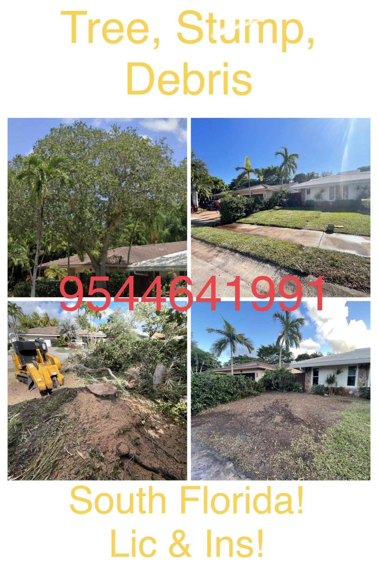 Tree stump Grinding