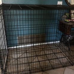 One Door Dog Cage