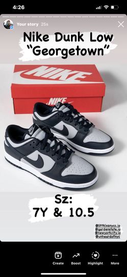 Nike Dunk Low Georgetown Sz 7Y & 10.5