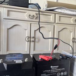 3 Units - High End Lithium Iron Phosphate Batteries - 3 With Battery Charger