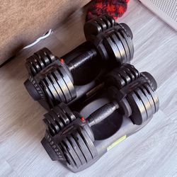 dialtechElite Dumbbell set,72lbs each