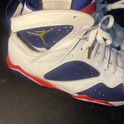 Jordan retro alternate