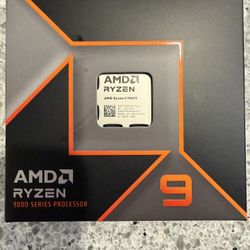 AMD RYZEN 9 9900X
