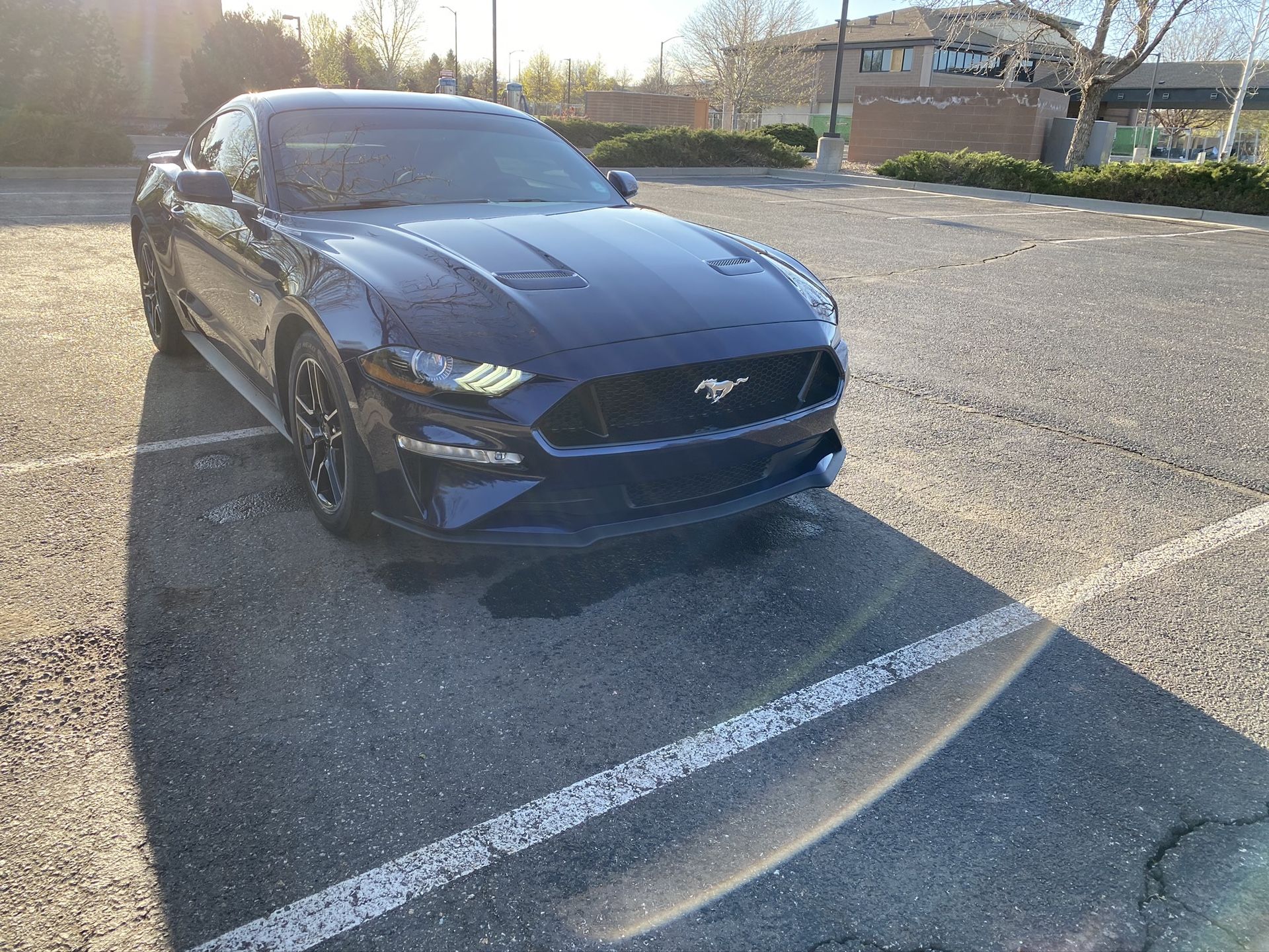 2020 Mustang Gt Base Manual