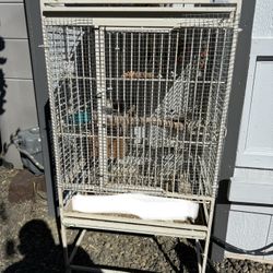 Bird Cage 