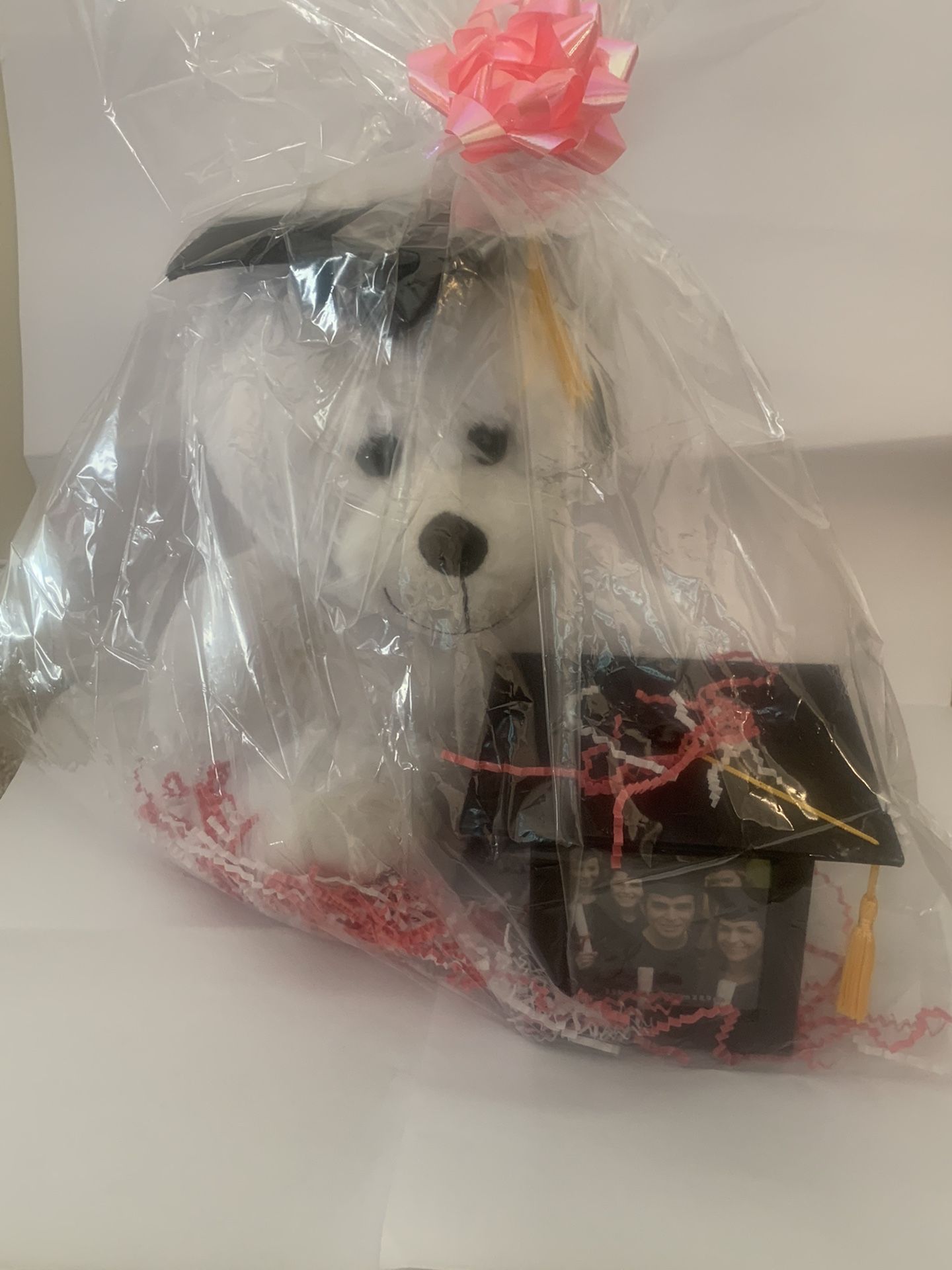 Graduation Teddy Bear And Photo Cube 