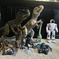 Jurassic World Dinosaurs & Rc Robot, Tarantula