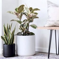 PEACH & PEBBLE Modern Porcelain Black Pot Planter