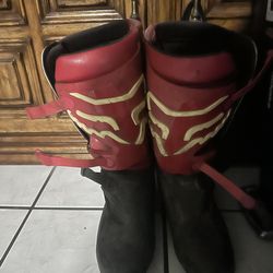 Fox Red And Black