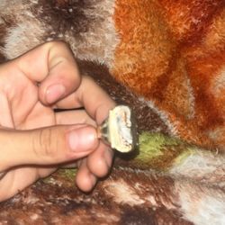 14k Three Toned Solid Gold