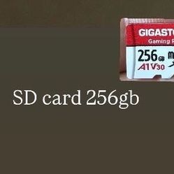 Mini sd card 256gb