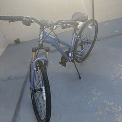 hybrid Bicycle
