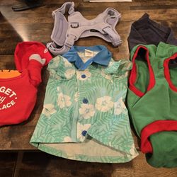 Dog Large Costumes & Harness 