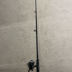 Fishing Rod And Reel