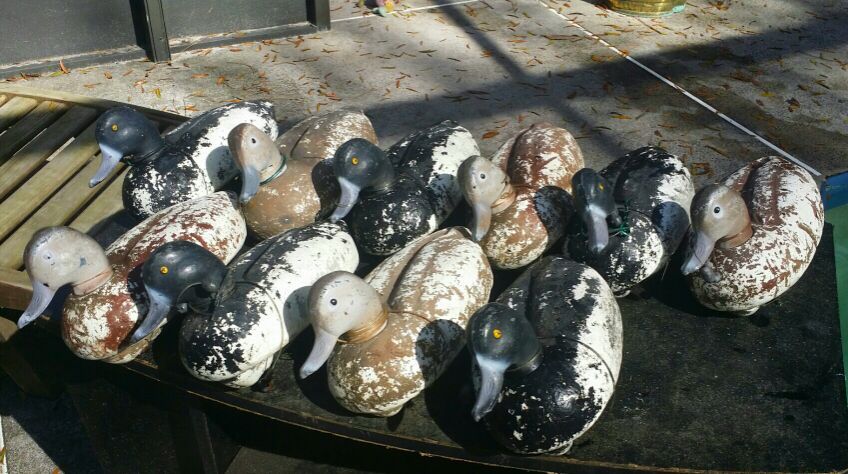 Herters Model 72 Foam Bluebill Duck Decoys